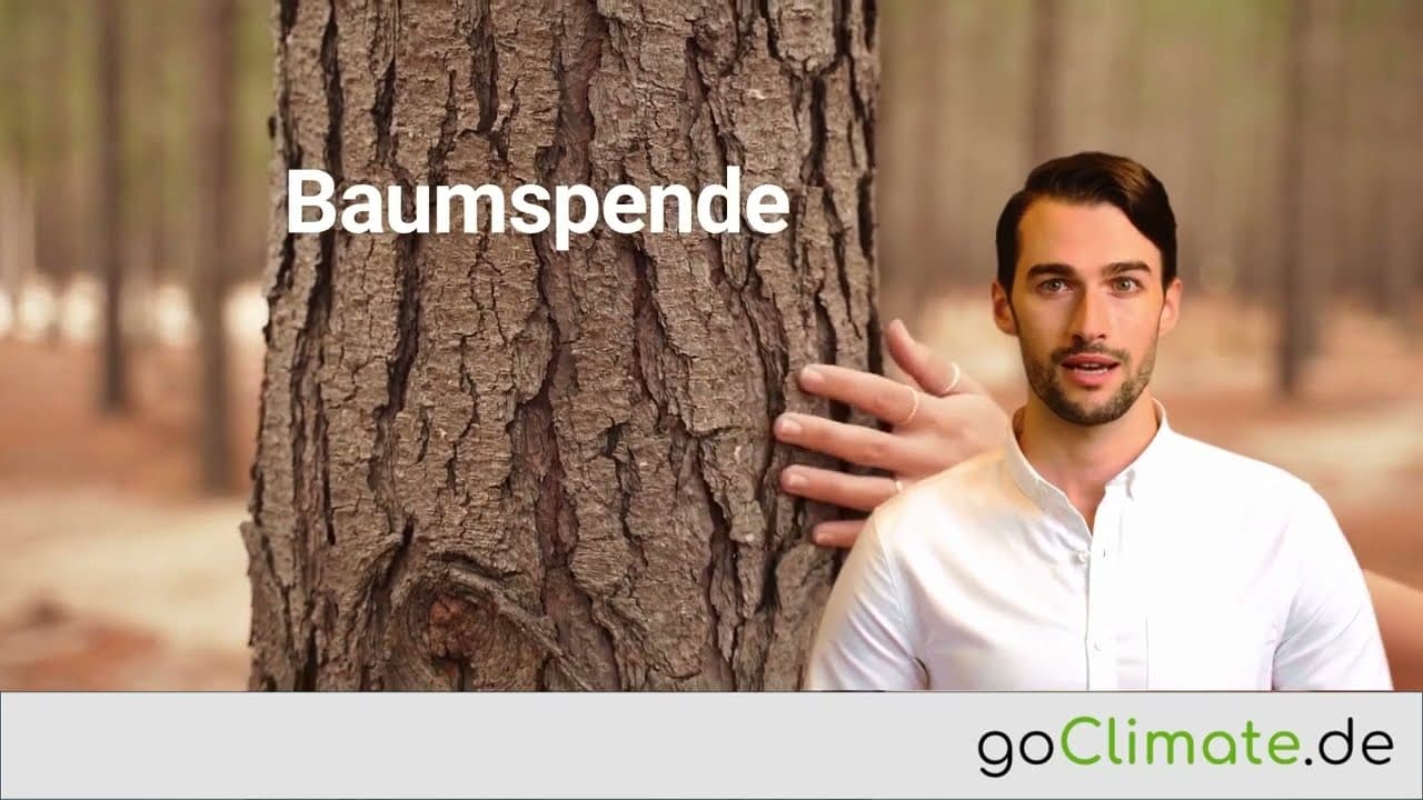 Baumspende - Ein Überblick in 50 Sekunden: goClimate.de