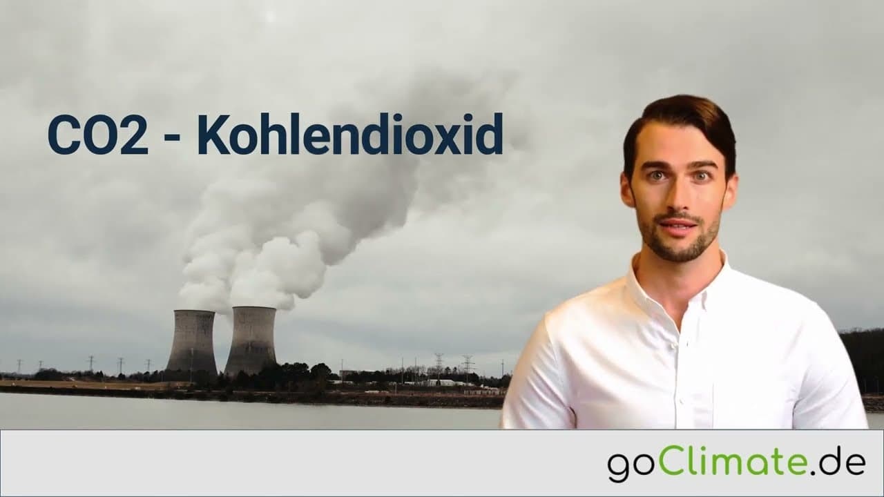 CO2 - Ein Überblick in 60 Sekunden: goClimate.de