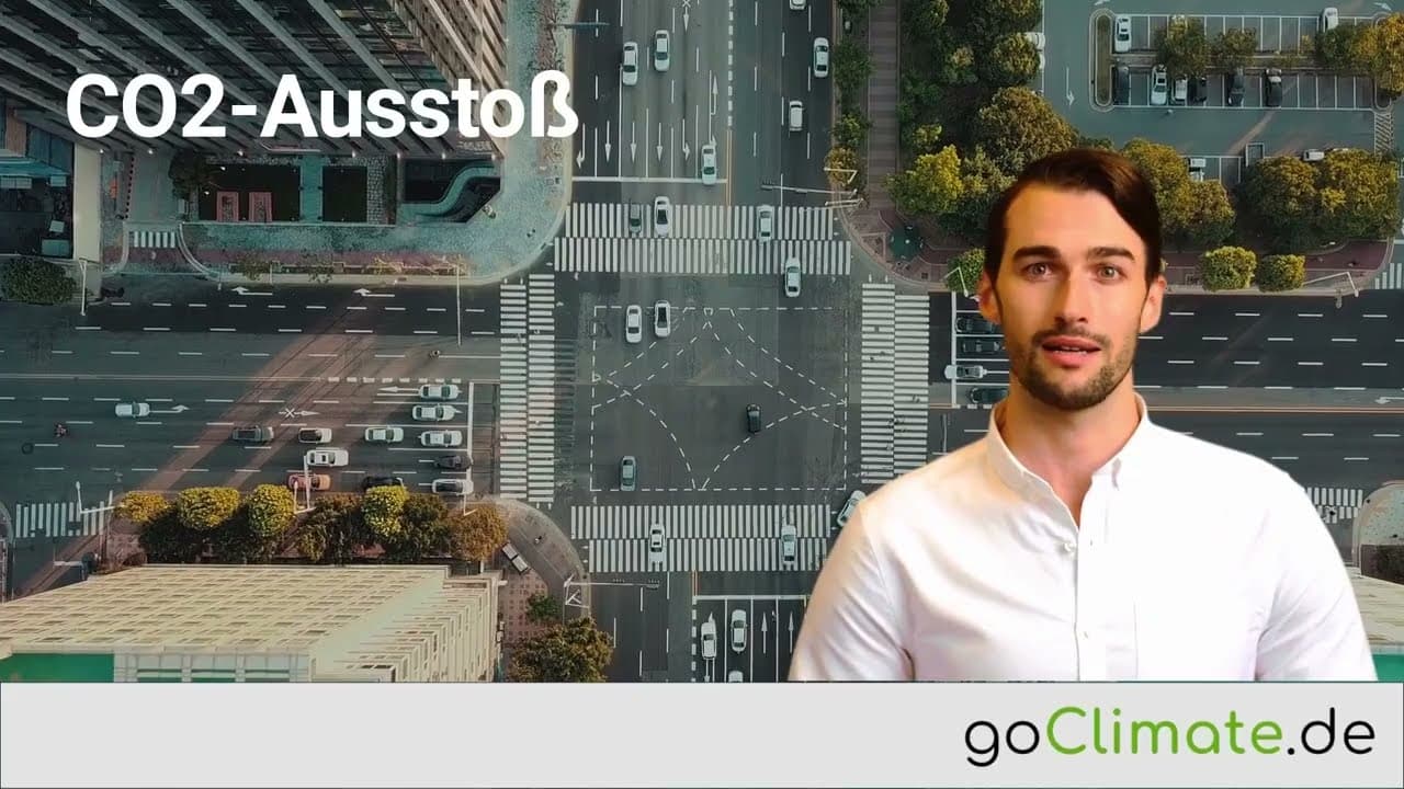 CO2-Ausstoß - Ein Überblick in 50 Sekunden: goClimate.de