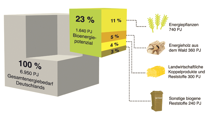 Biomasse Potenzial