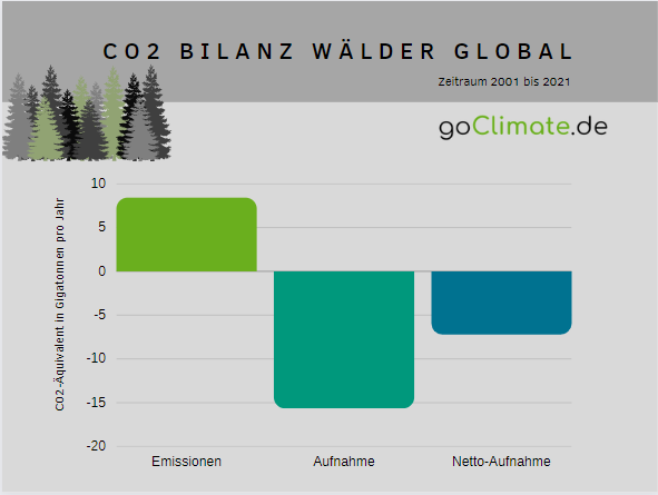 CO2 Bilanz Wald