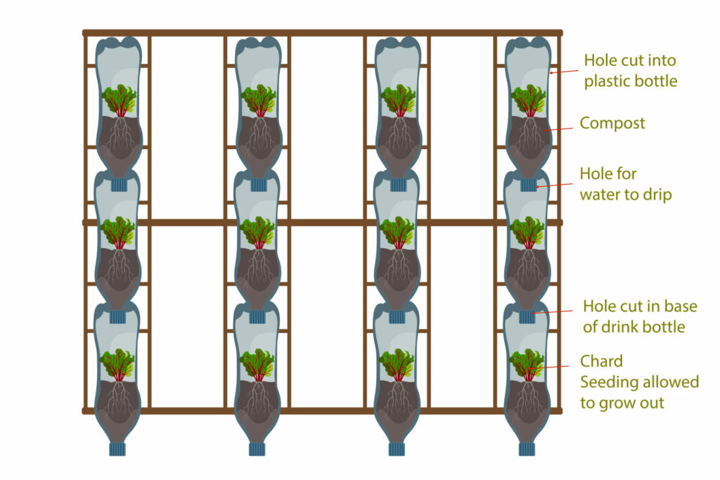 DIY Vertical Garden