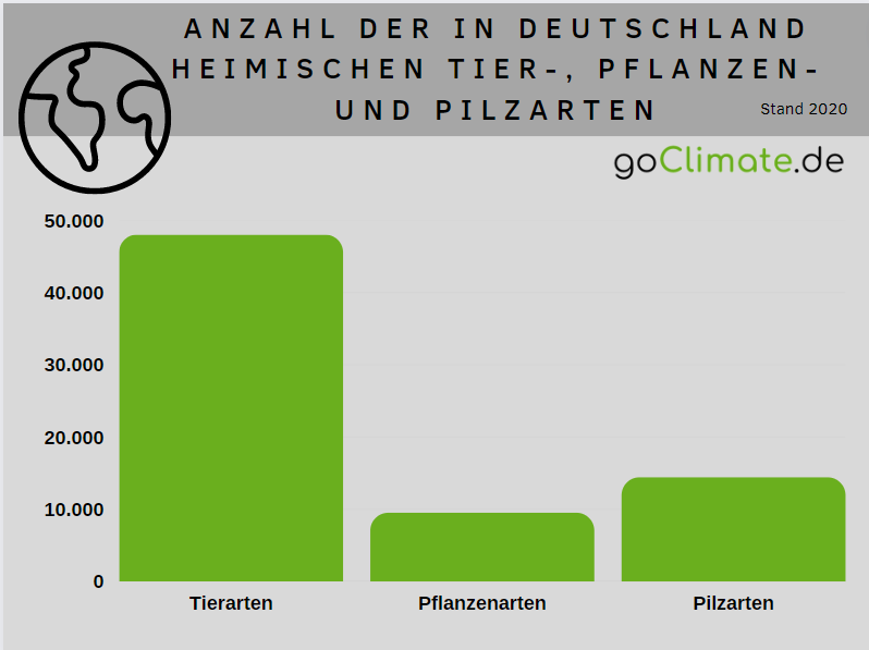 Anzahl von Kegelrobben im Wattenmeer