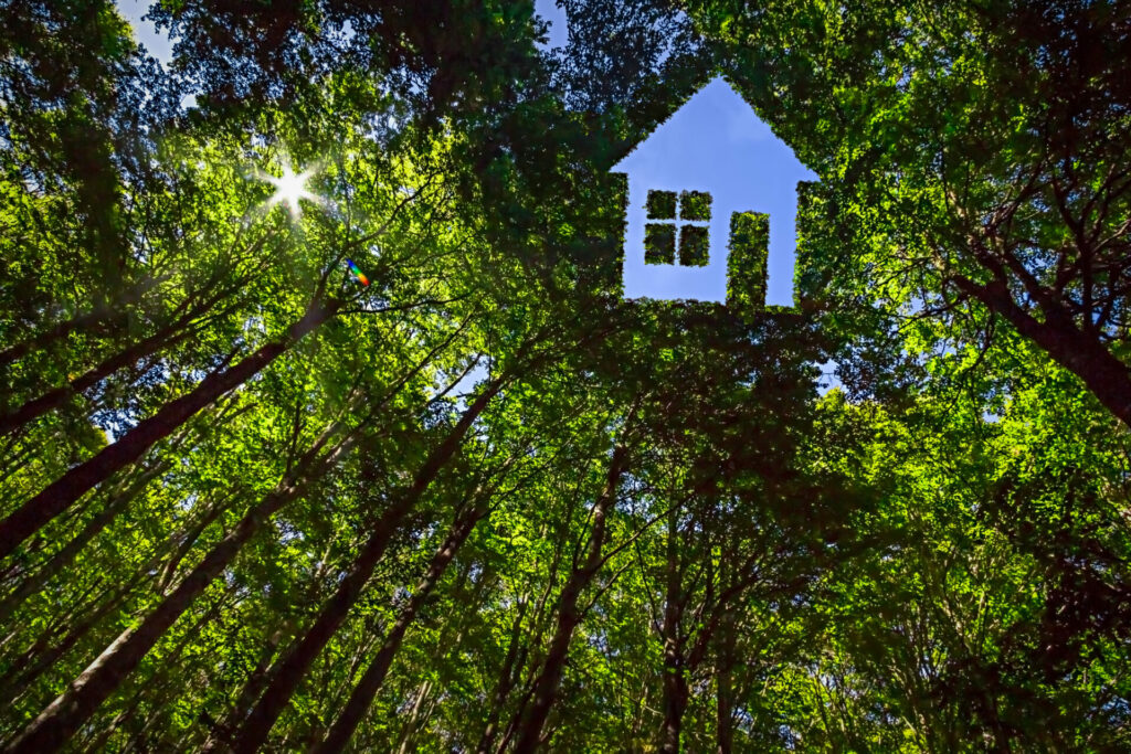 Hausförmige Öffnung im Blätterdach eines grünen Waldes, Nachhaltiges Haus ist die Zukunft