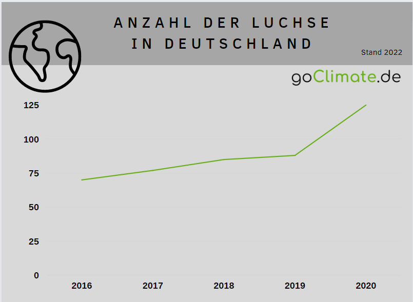 Luchse in deutscher Natur