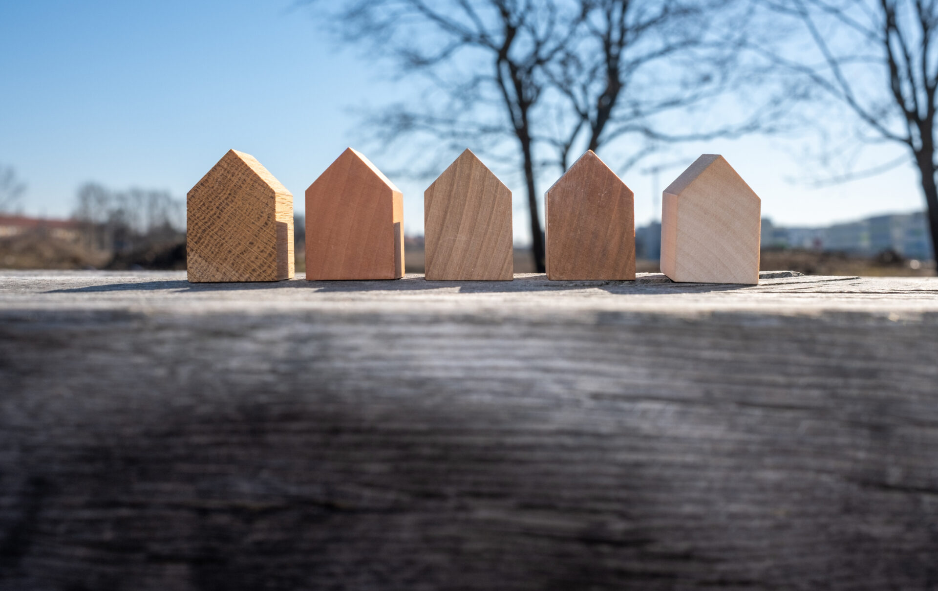 Tiny House, Tiny Houses Wohntrend aus den USA, nachhaltig bauen auf kleiner Wohnfläche, Holz