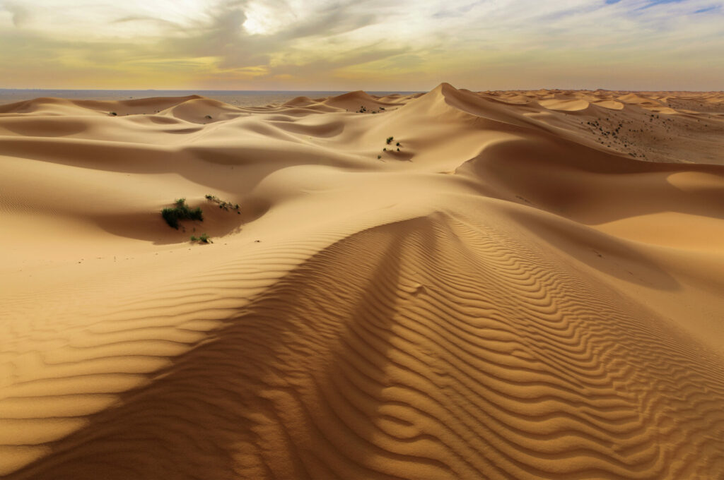 Wüste in Saudi Arabien